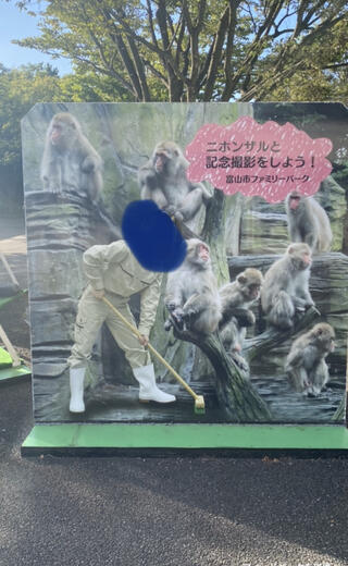 富山市ファミリーパークのクチコミ写真1