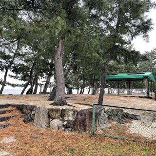 近江舞子中浜キャンプ場の写真7