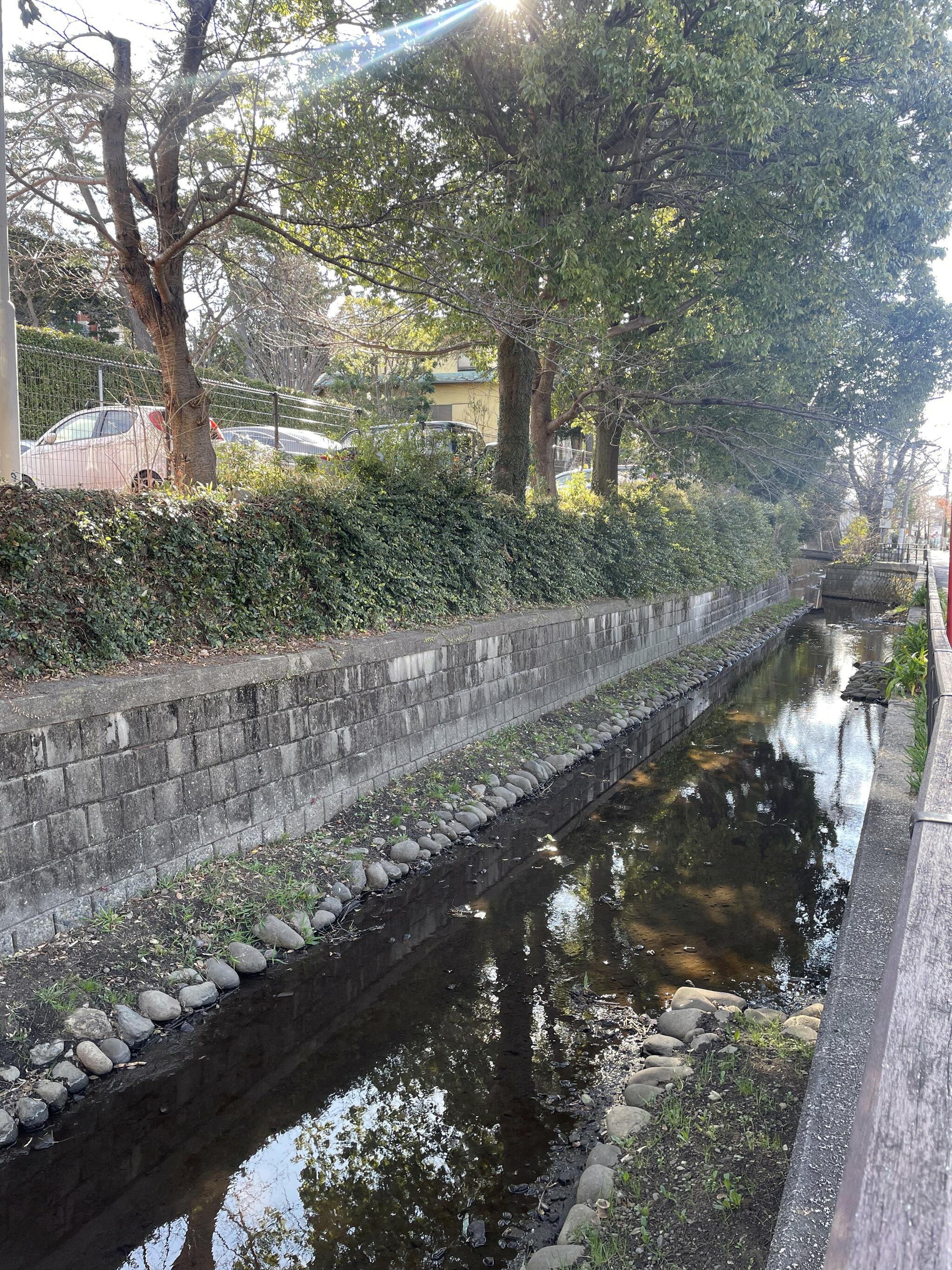 田園調布八幡神社の代表写真1