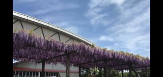 赤坂スポーツ公園のクチコミ写真1