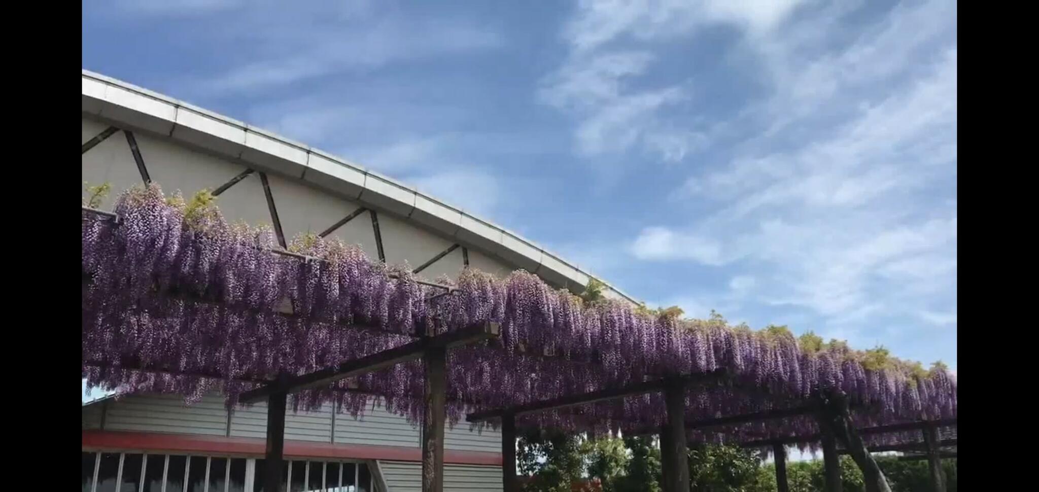 赤坂スポーツ公園の代表写真3