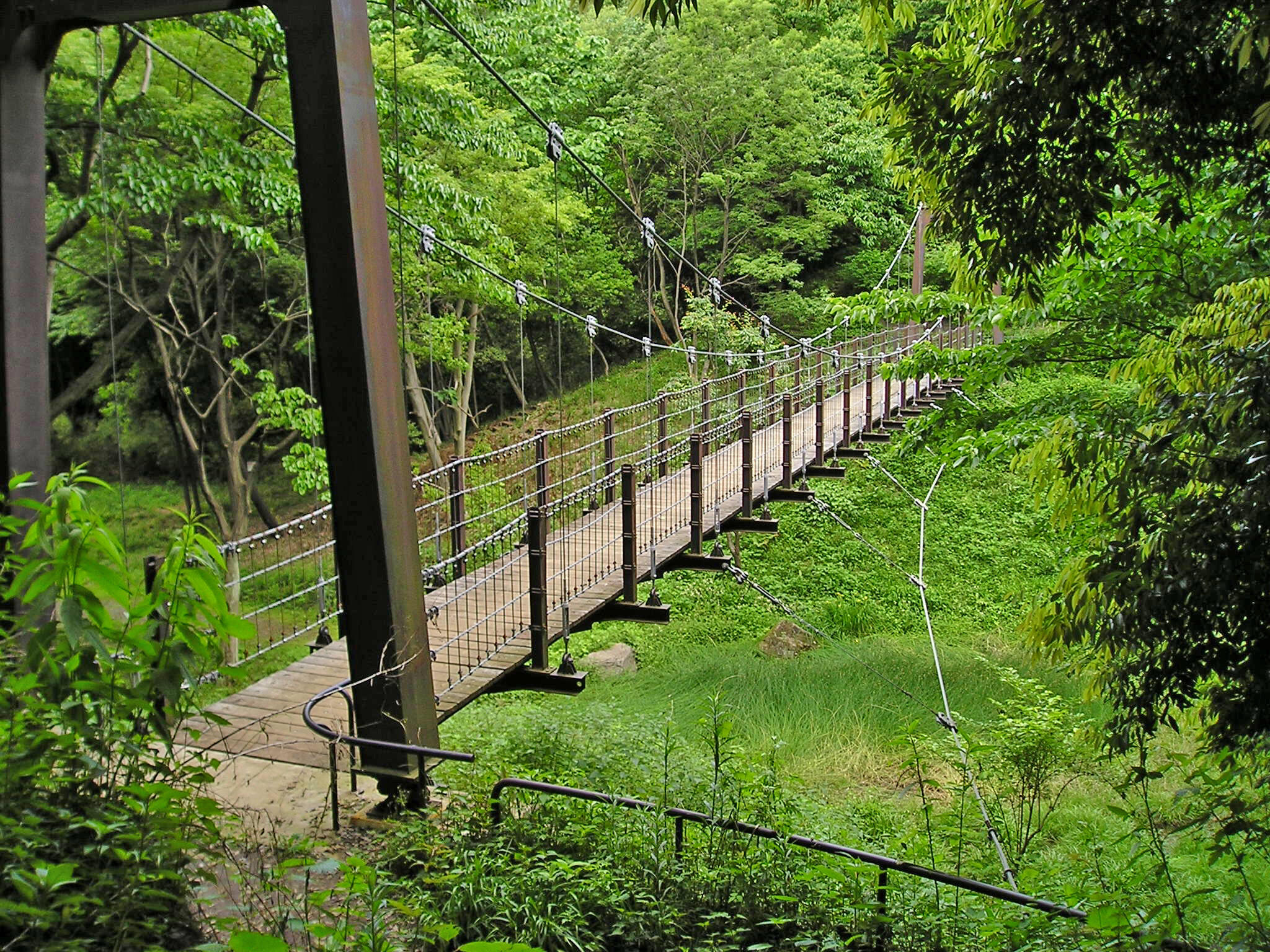 蓮生寺公園の代表写真1