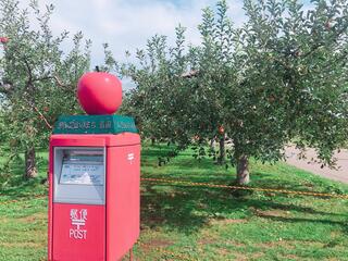 弘前市りんご公園のクチコミ写真1
