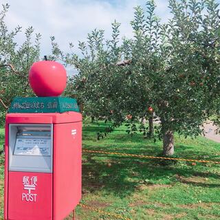 弘前市りんご公園の写真11
