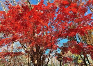 蚕糸の森公園のクチコミ写真1