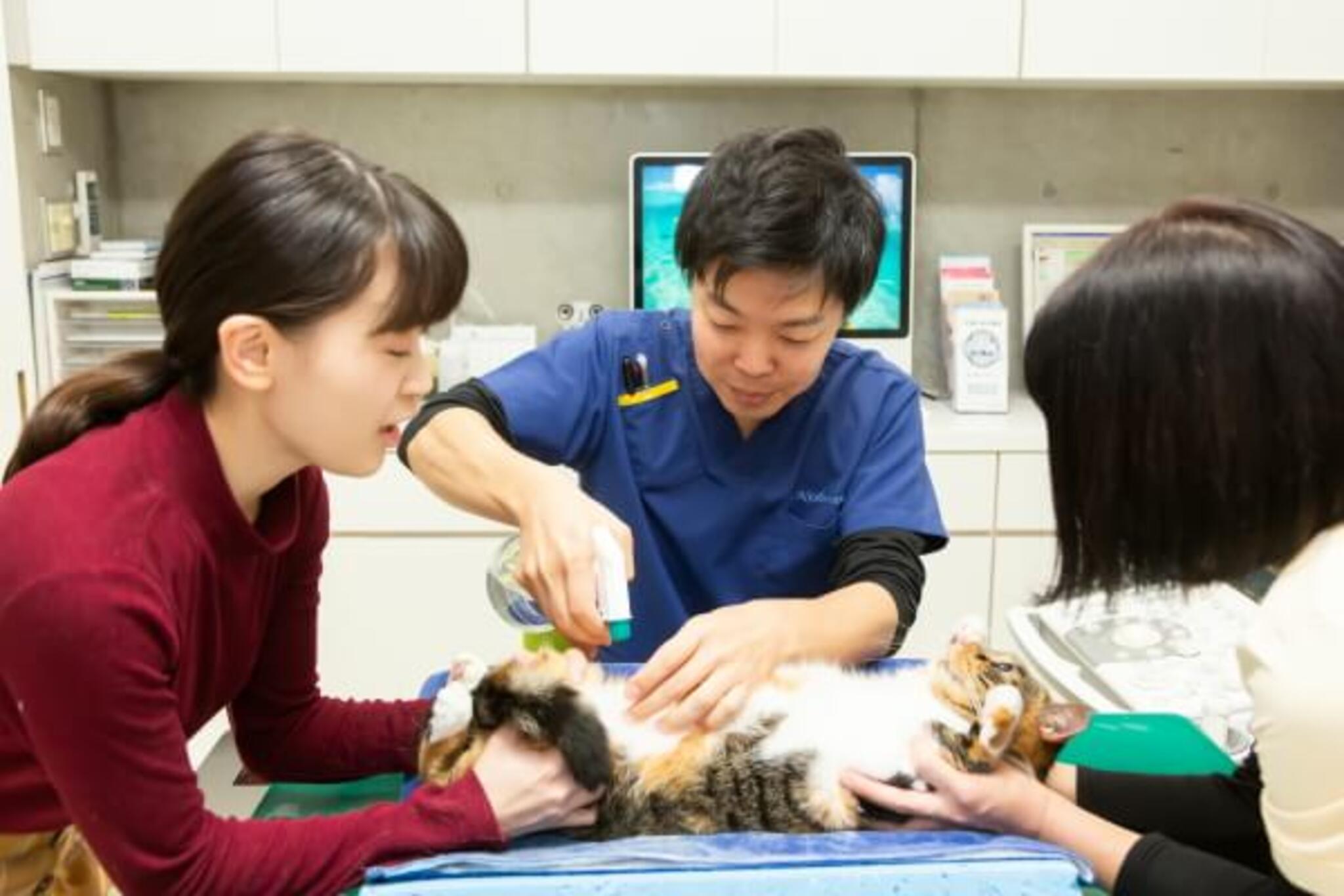 MIRU動物病院の代表写真3