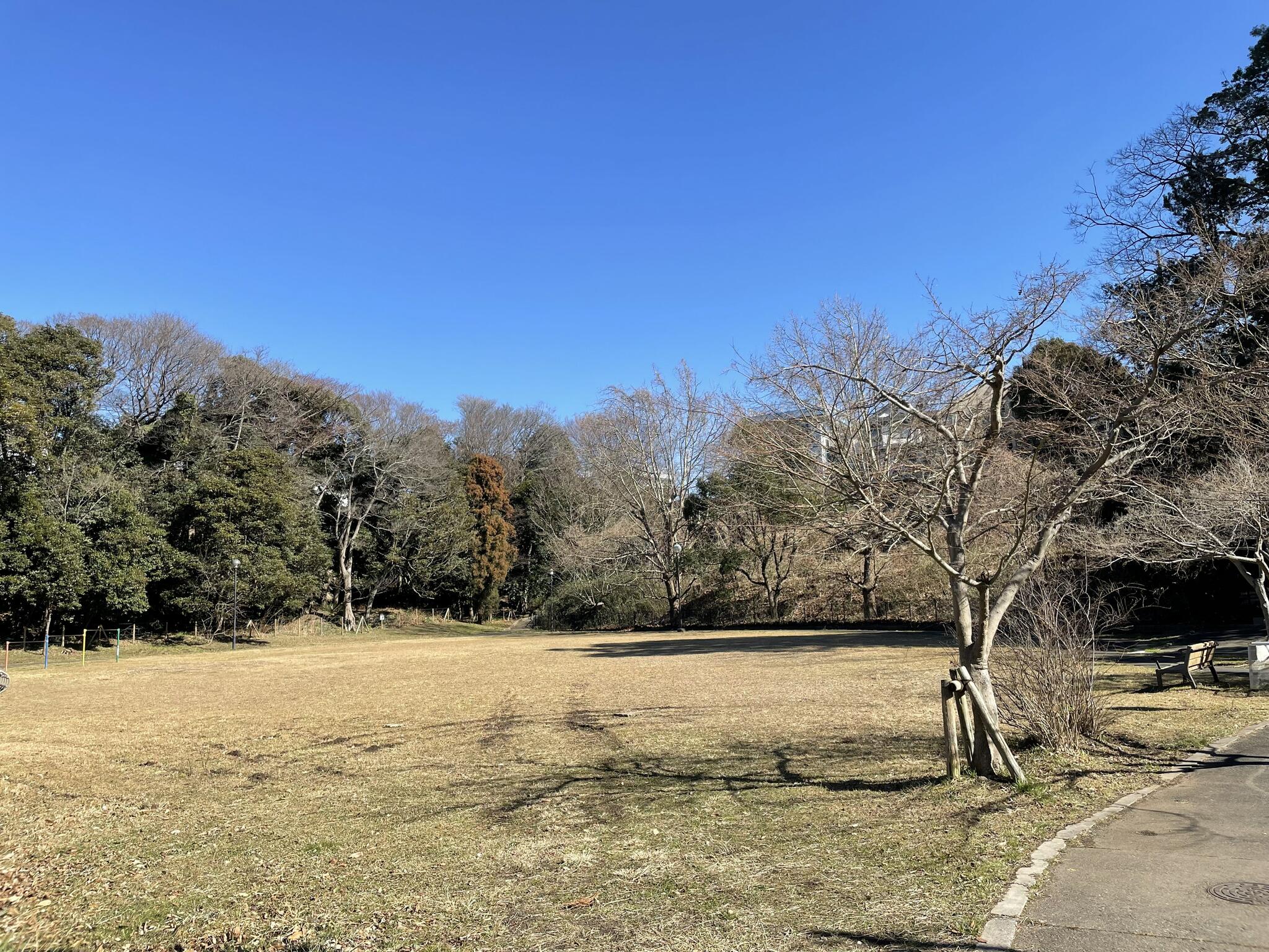 10号曽谷緑地 - 市川市曽谷/公園 | Yahoo!マップ