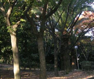 千島公園のクチコミ写真1