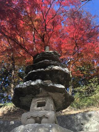 鹽竈神社のクチコミ写真5
