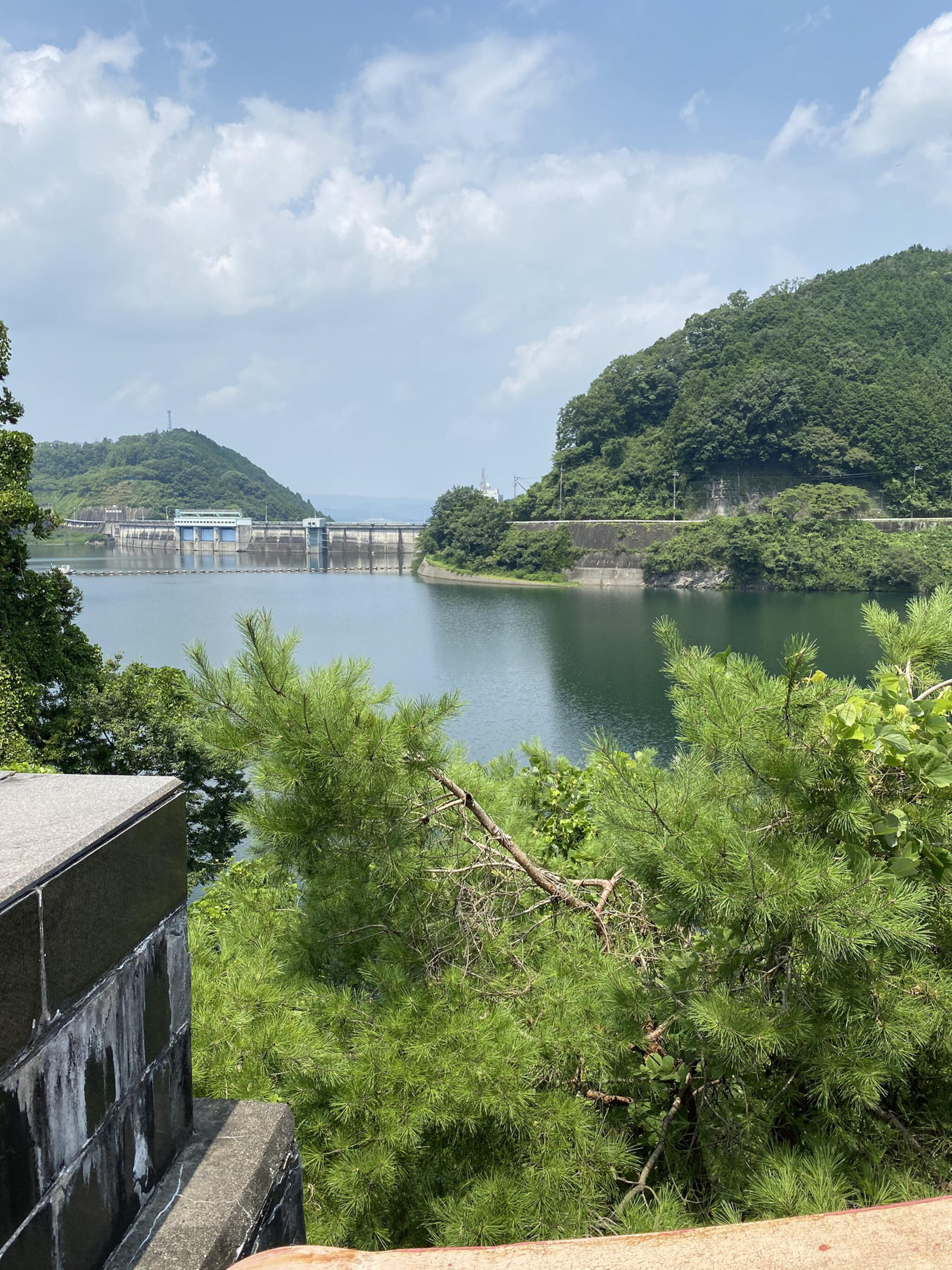 青蓮寺湖の代表写真2