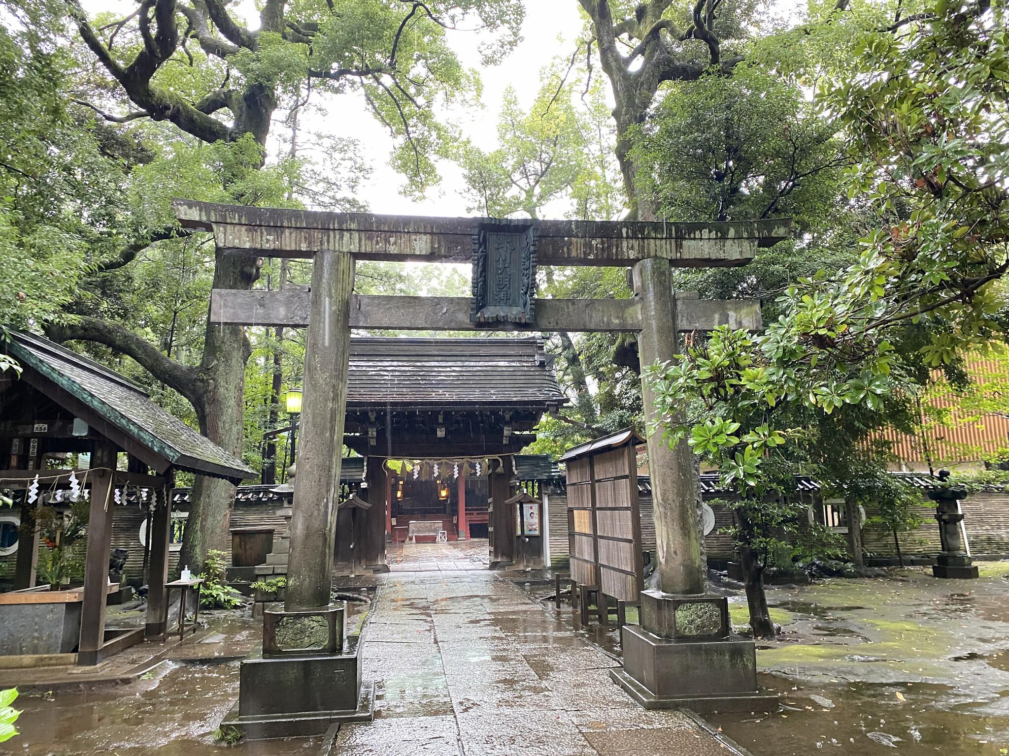 赤坂氷川神社の代表写真9