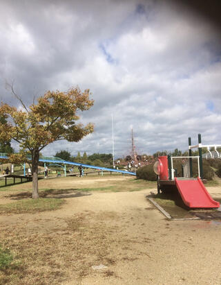 県立矢橋帰帆島公園のクチコミ写真1