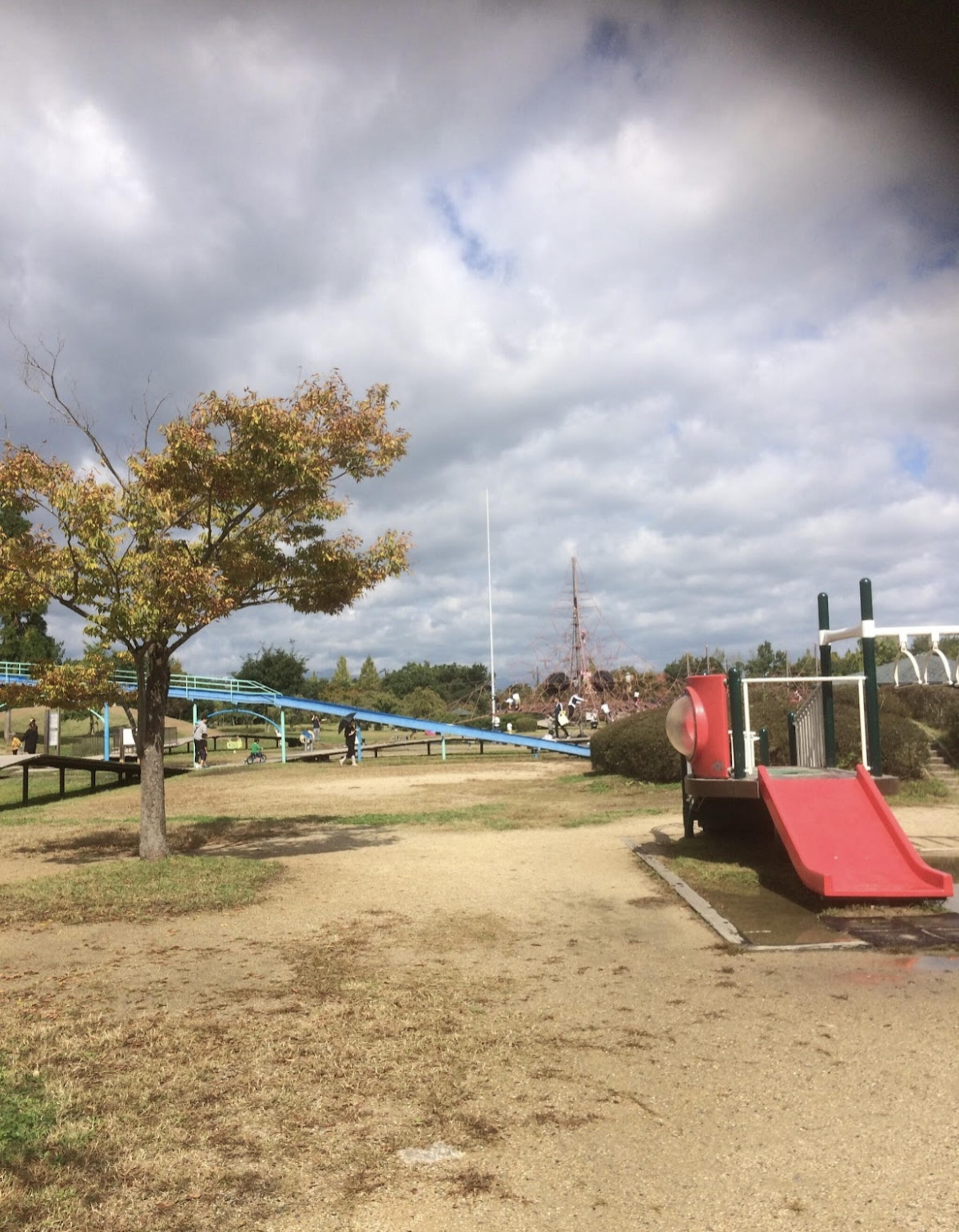 県立矢橋帰帆島公園の代表写真10