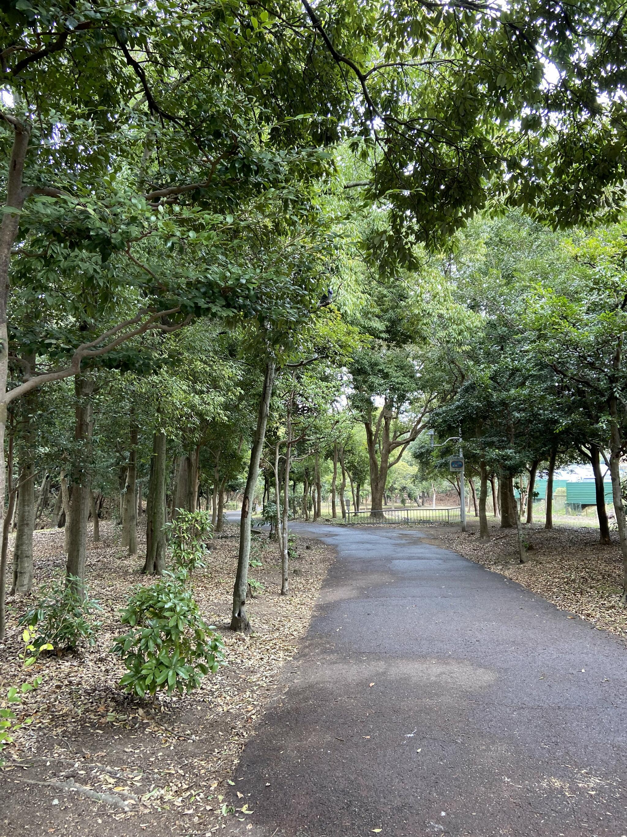 新檜尾公園の代表写真4