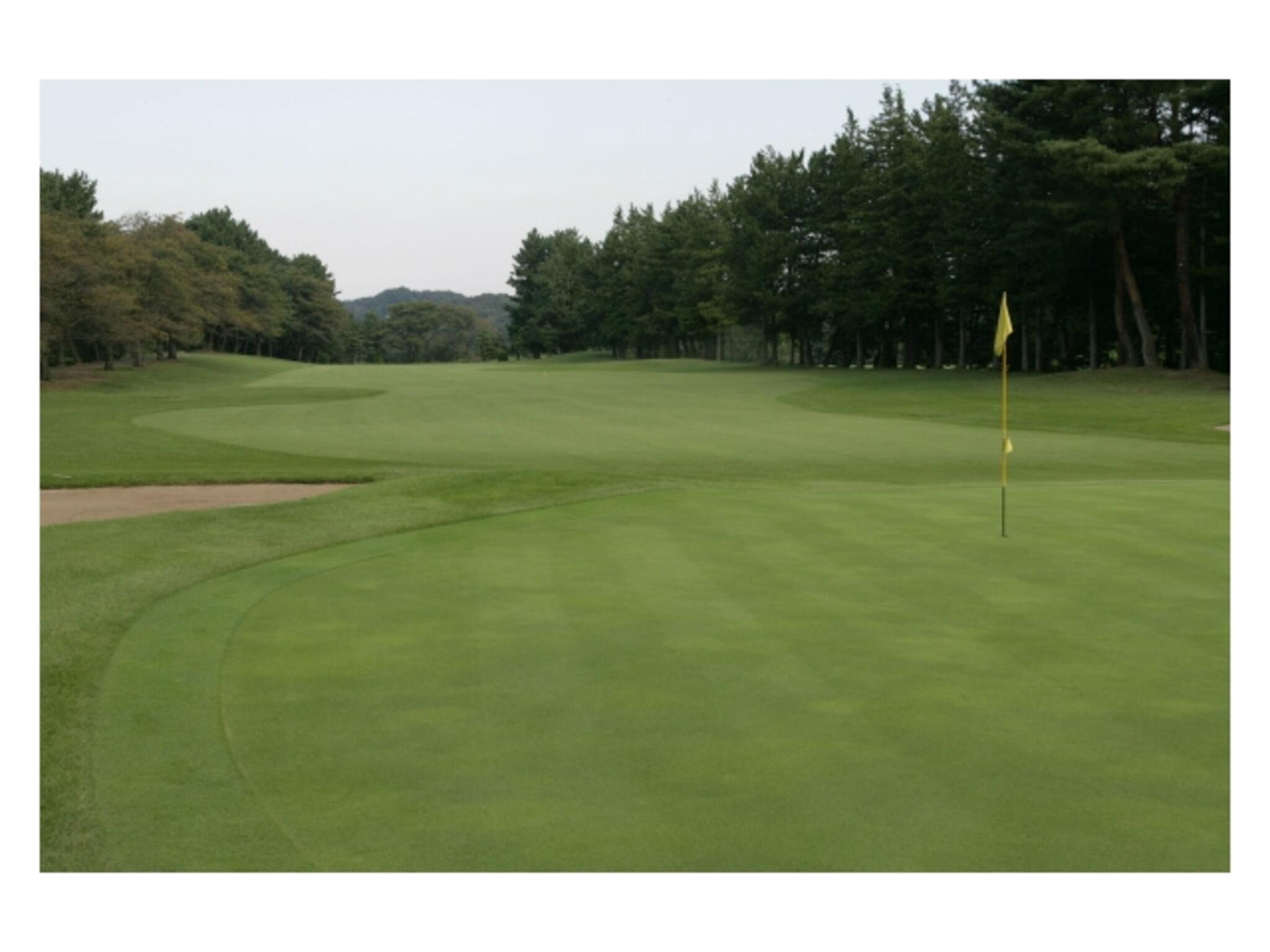武蔵野ゴルフクラブの代表写真9