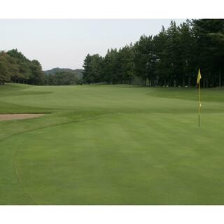 武蔵野ゴルフクラブの写真9