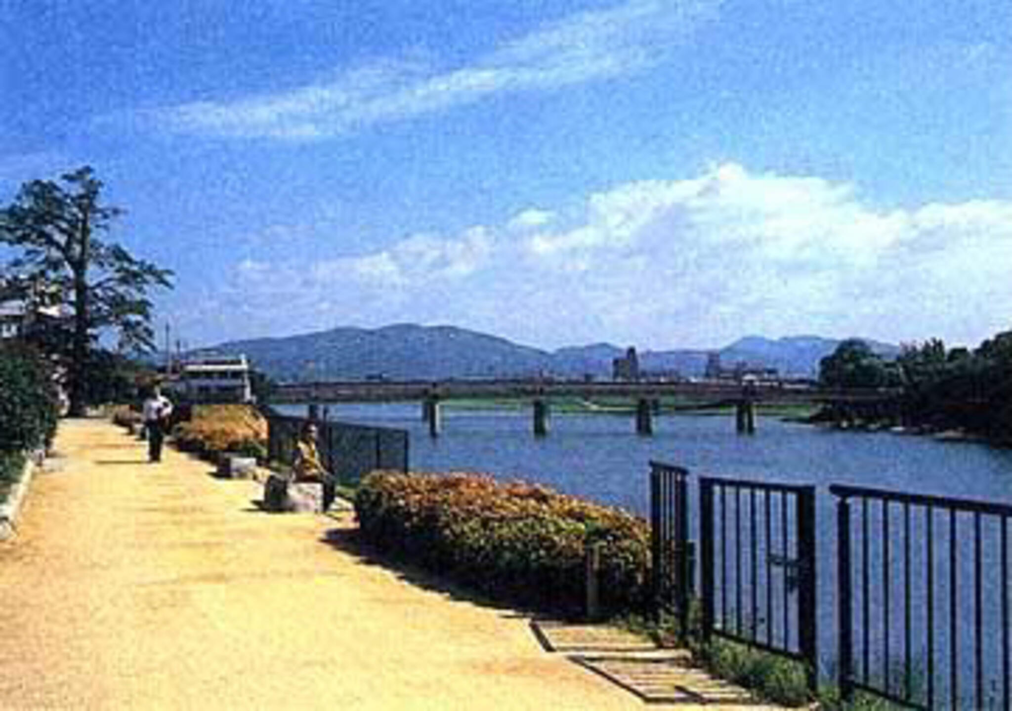 石関緑地の代表写真4