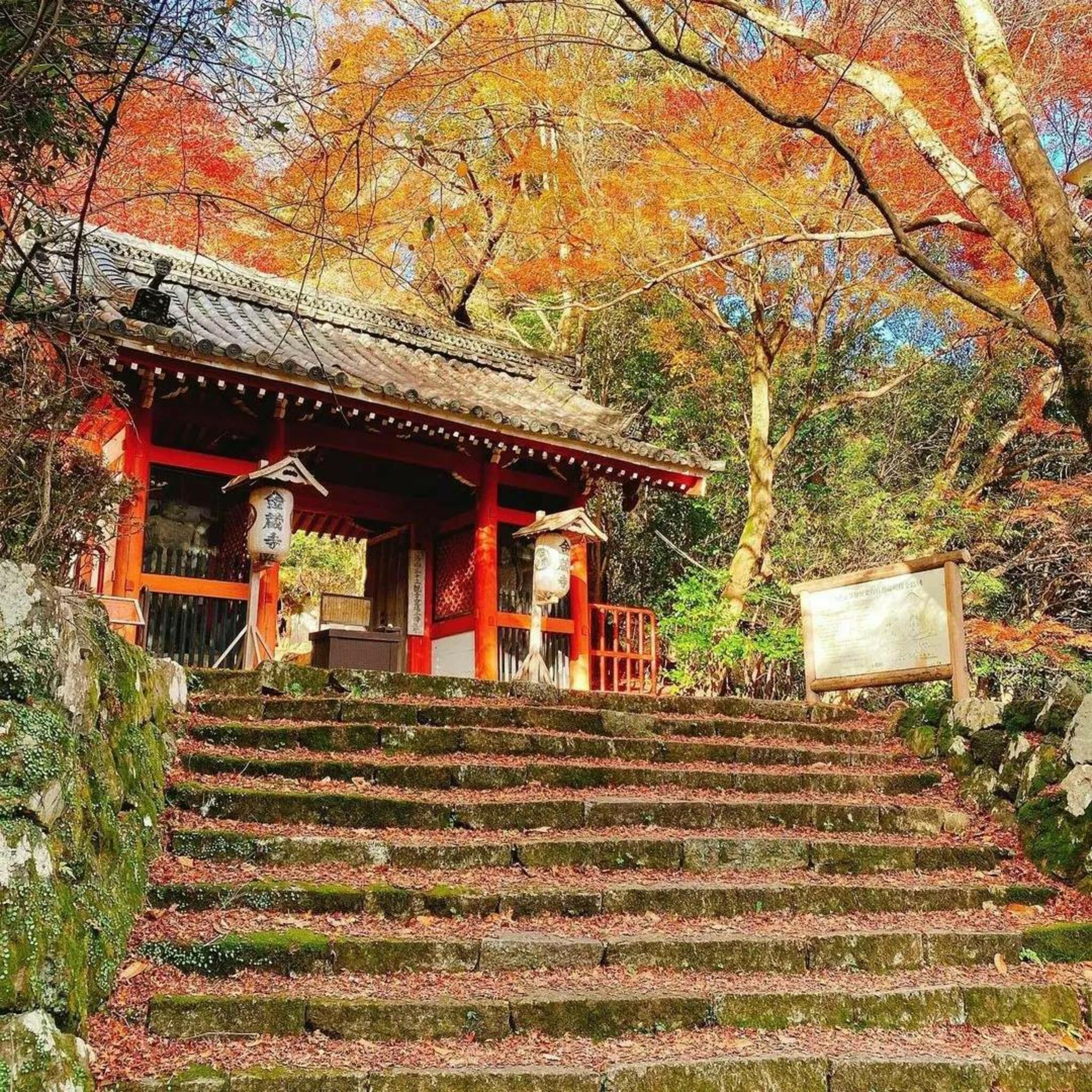金蔵寺の代表写真5