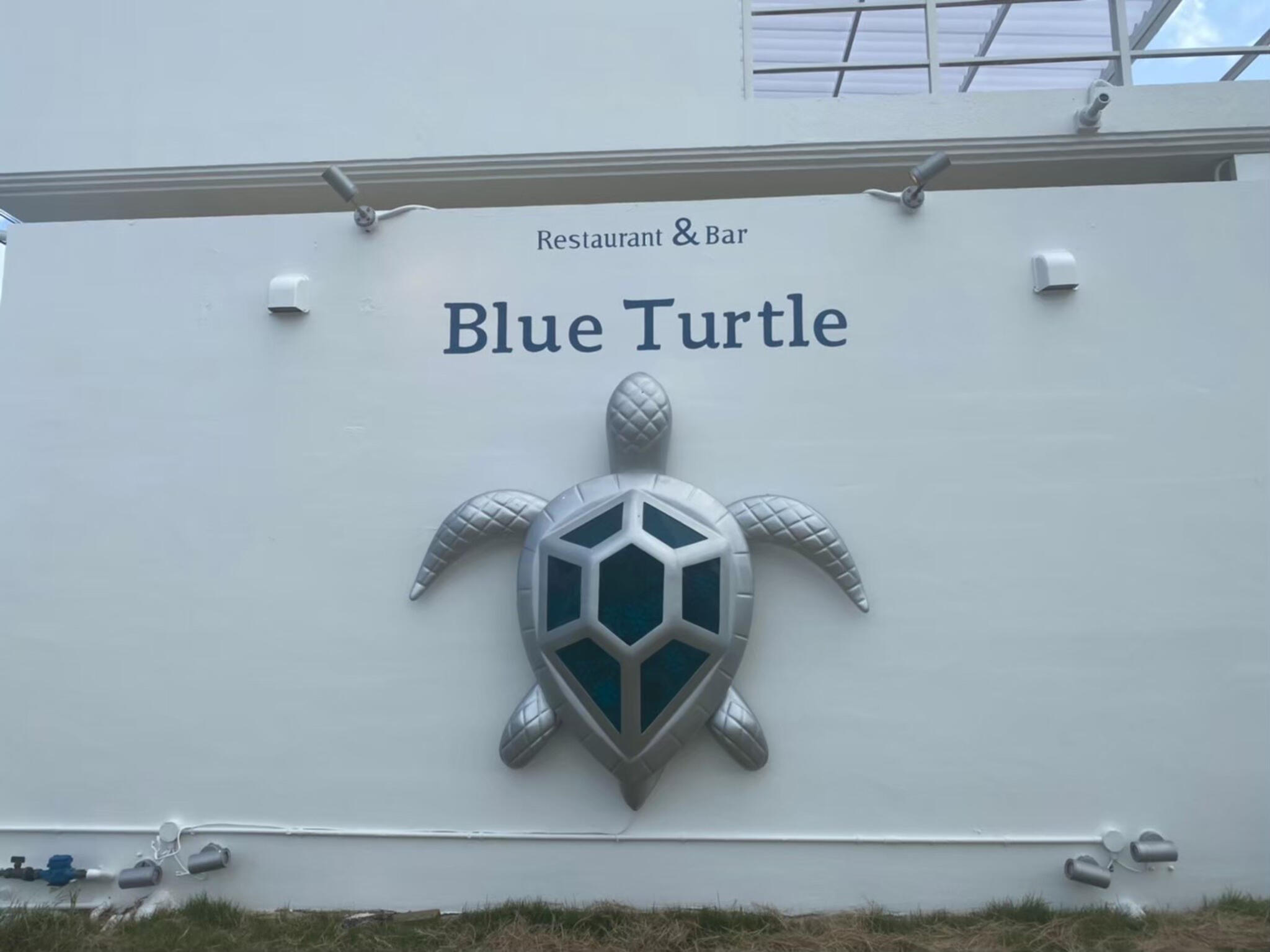 Blue Turtleの代表写真6