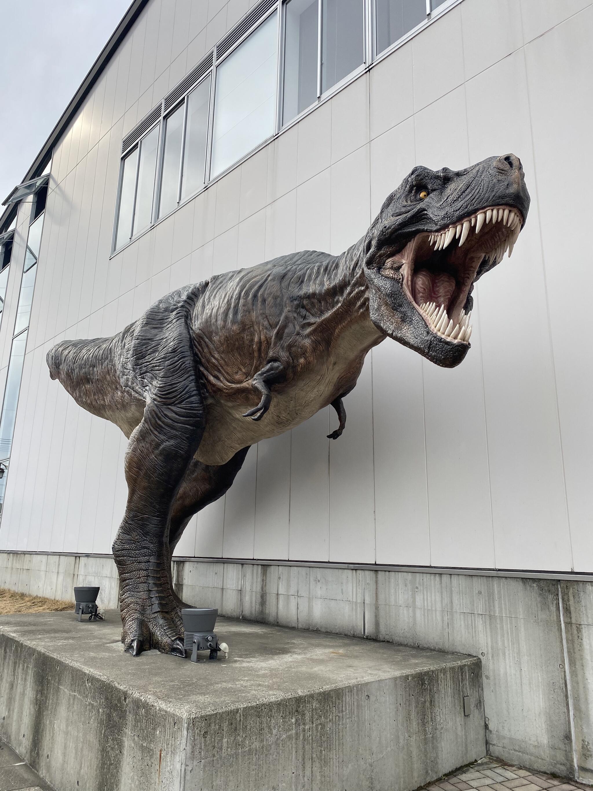 御船町恐竜博物館の代表写真3