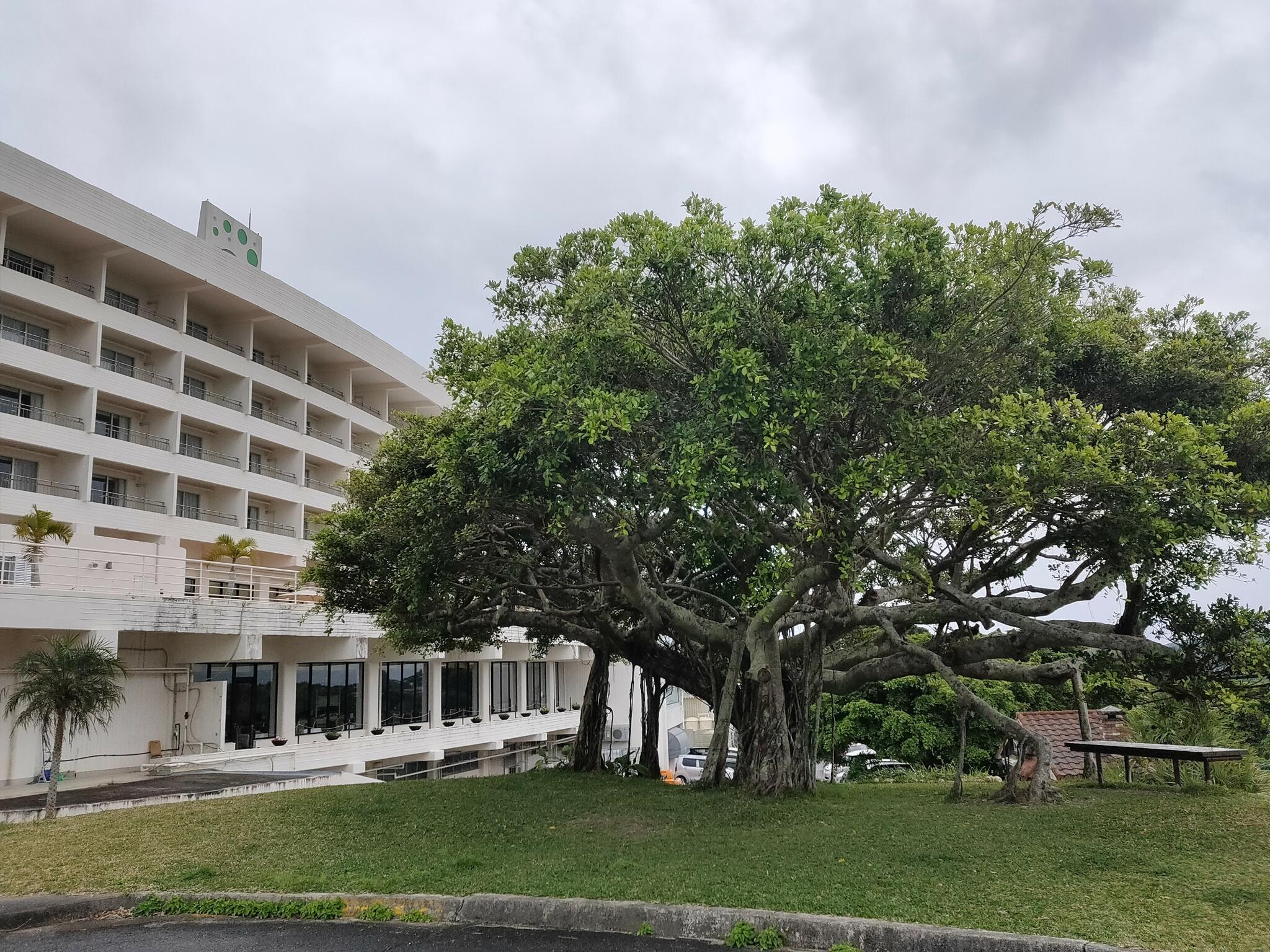 キタナカガーデン EMウェルネスリゾート コスタビスタ沖縄 ホテル&スパの代表写真7