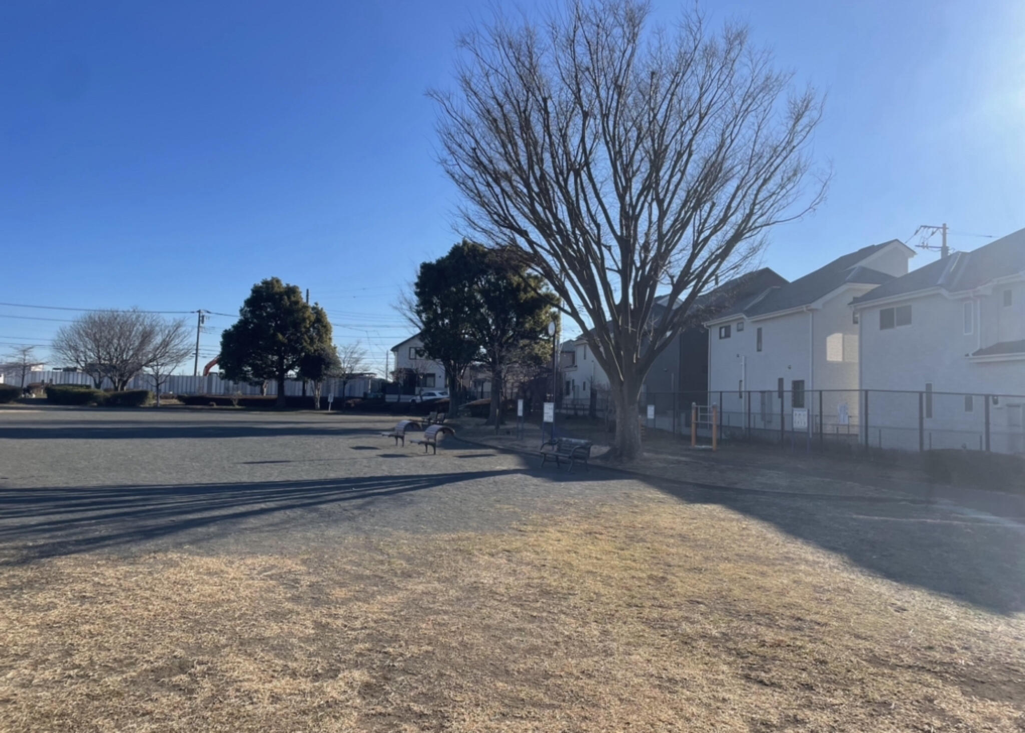 上瀬谷公園の代表写真1