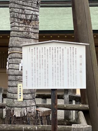 荻窪八幡神社のクチコミ写真3