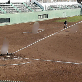 江戸川区球場の写真2