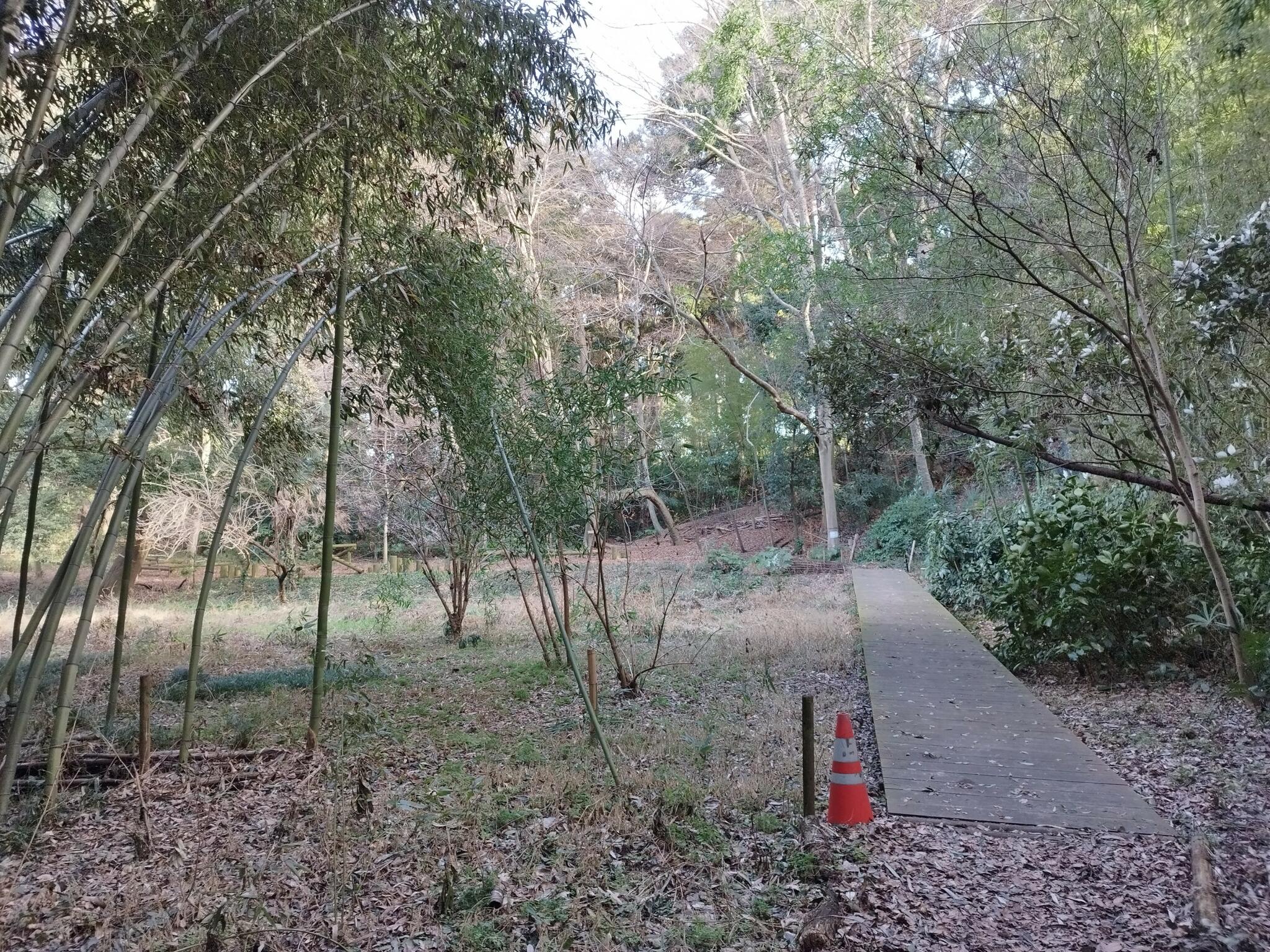 関さんの森の代表写真5