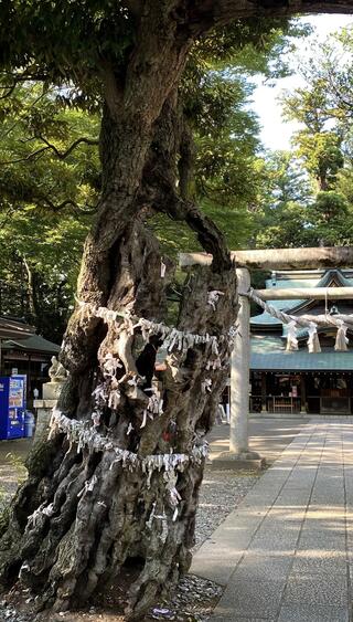 一言主神社のクチコミ写真1