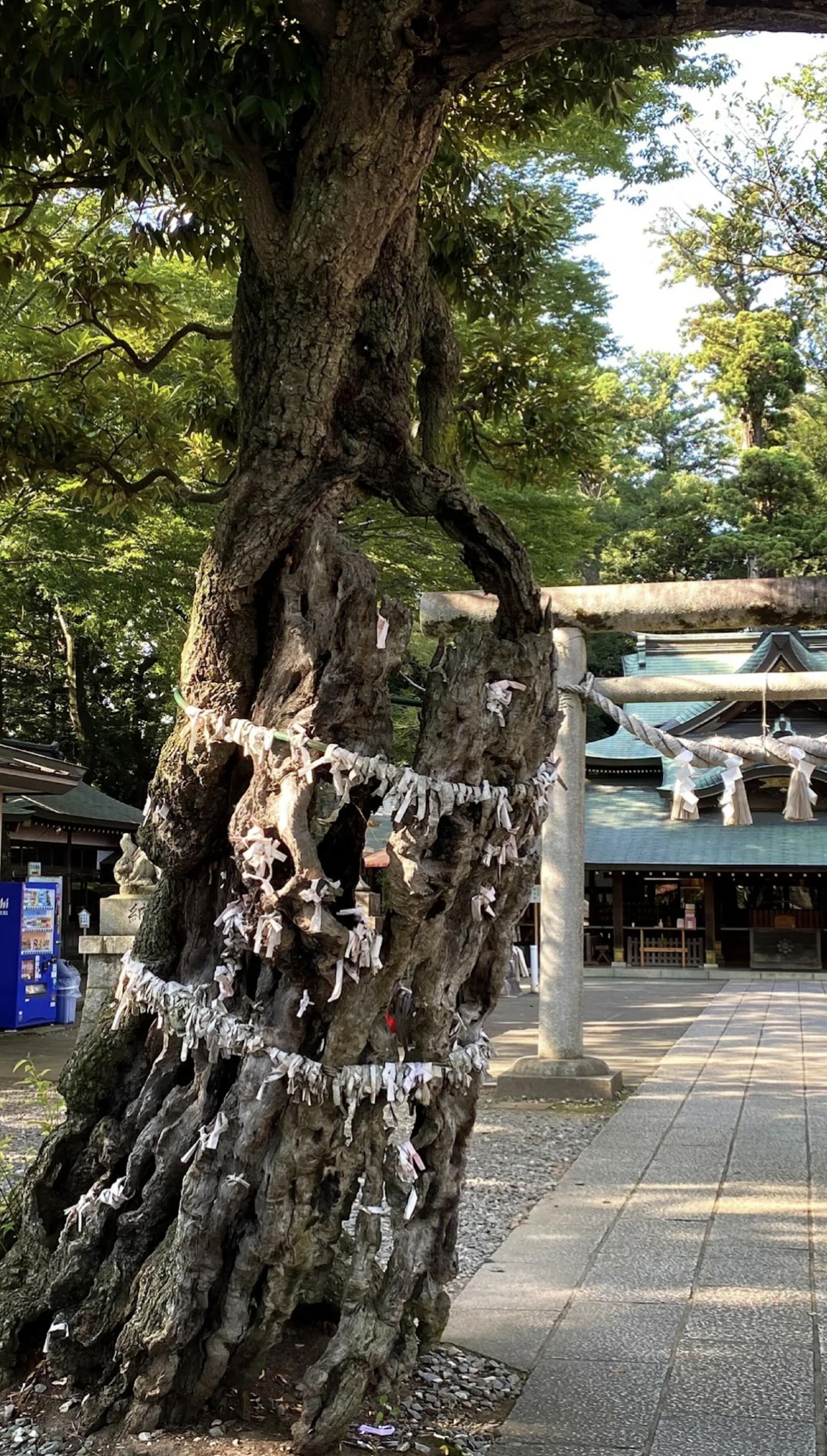 一言主神社の代表写真2