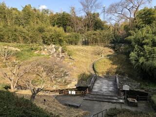 京都市洛西竹林公園のクチコミ写真2