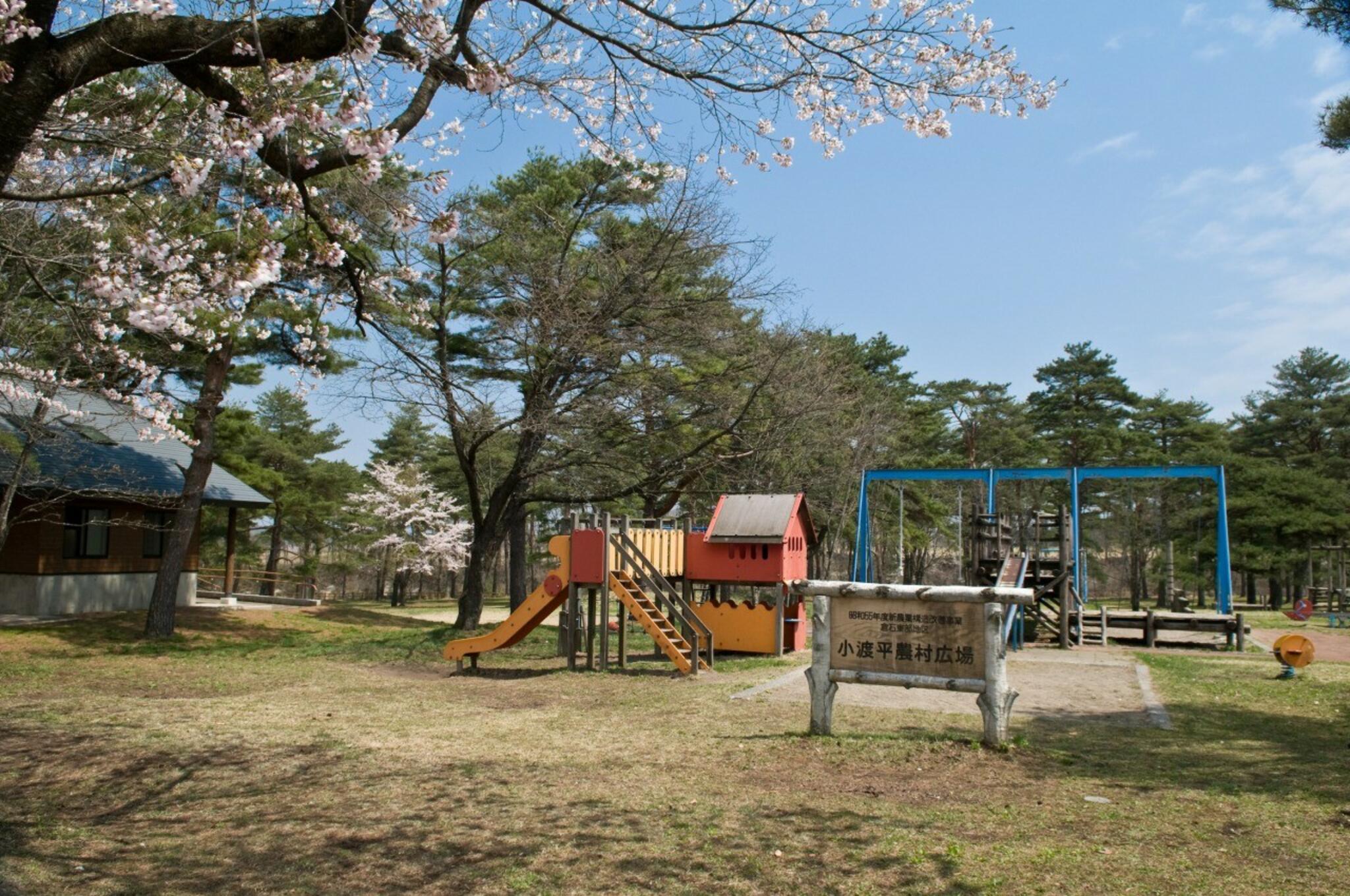 小渡平公園の代表写真5