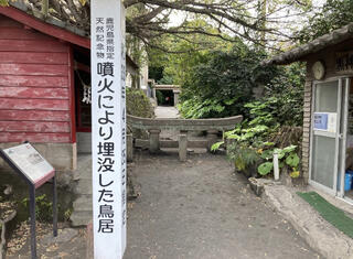 黒神埋没鳥居のクチコミ写真1