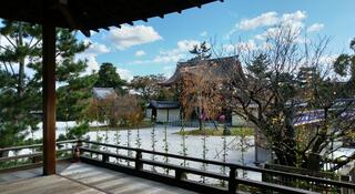 旧嵯峨御所 大本山大覚寺(大沢池エリア)のクチコミ写真5