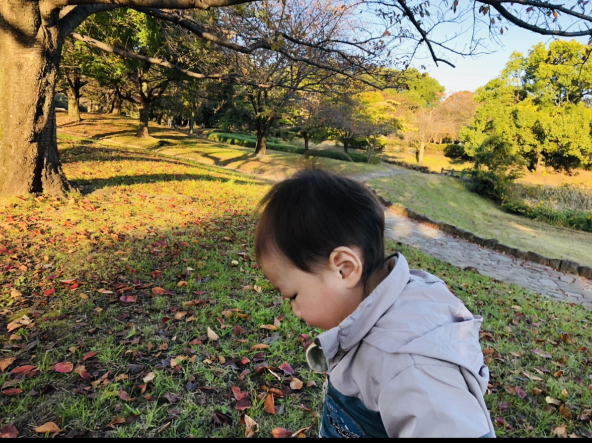 加須はなさき公園の代表写真9