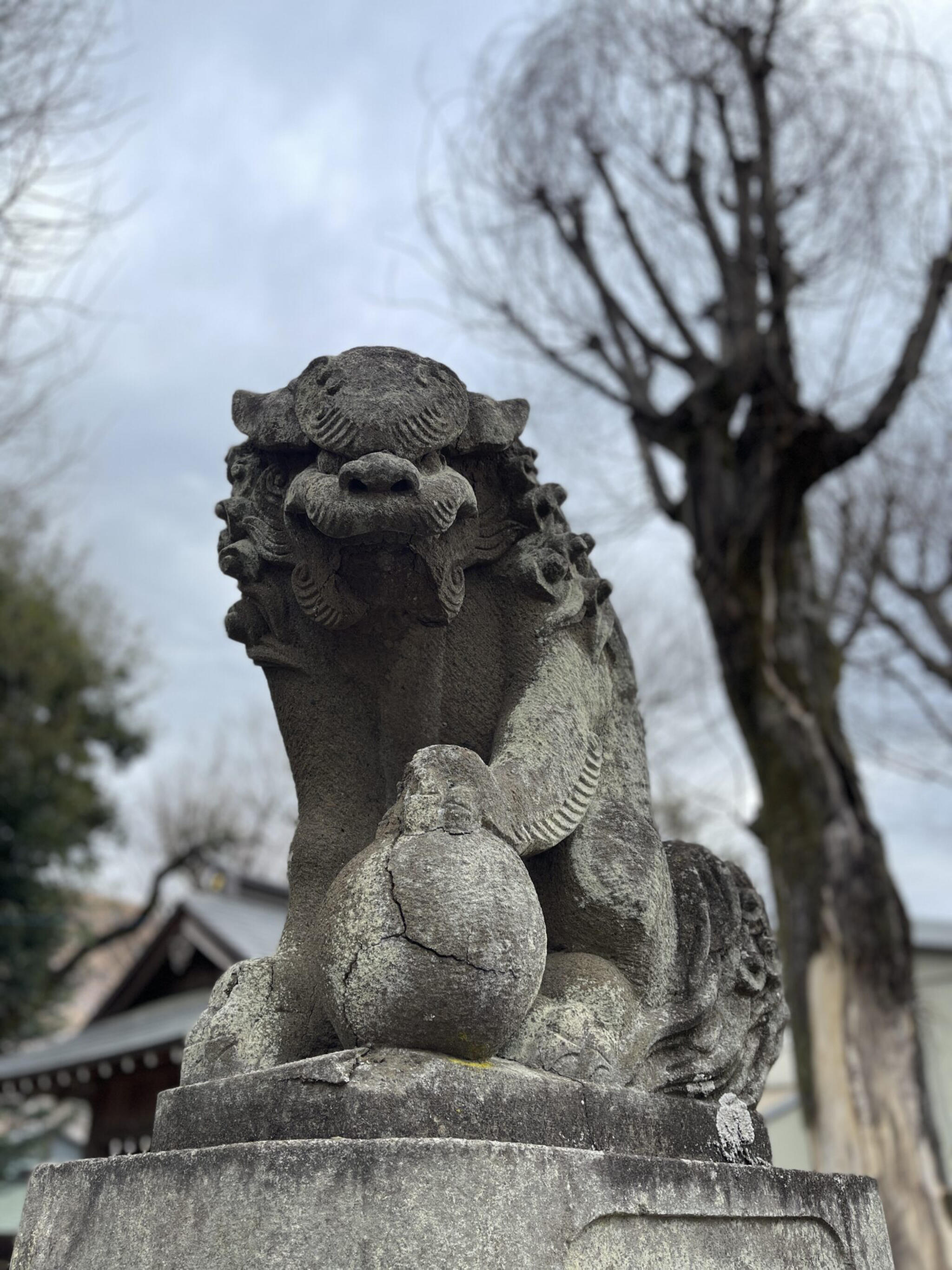 多賀神社の代表写真2