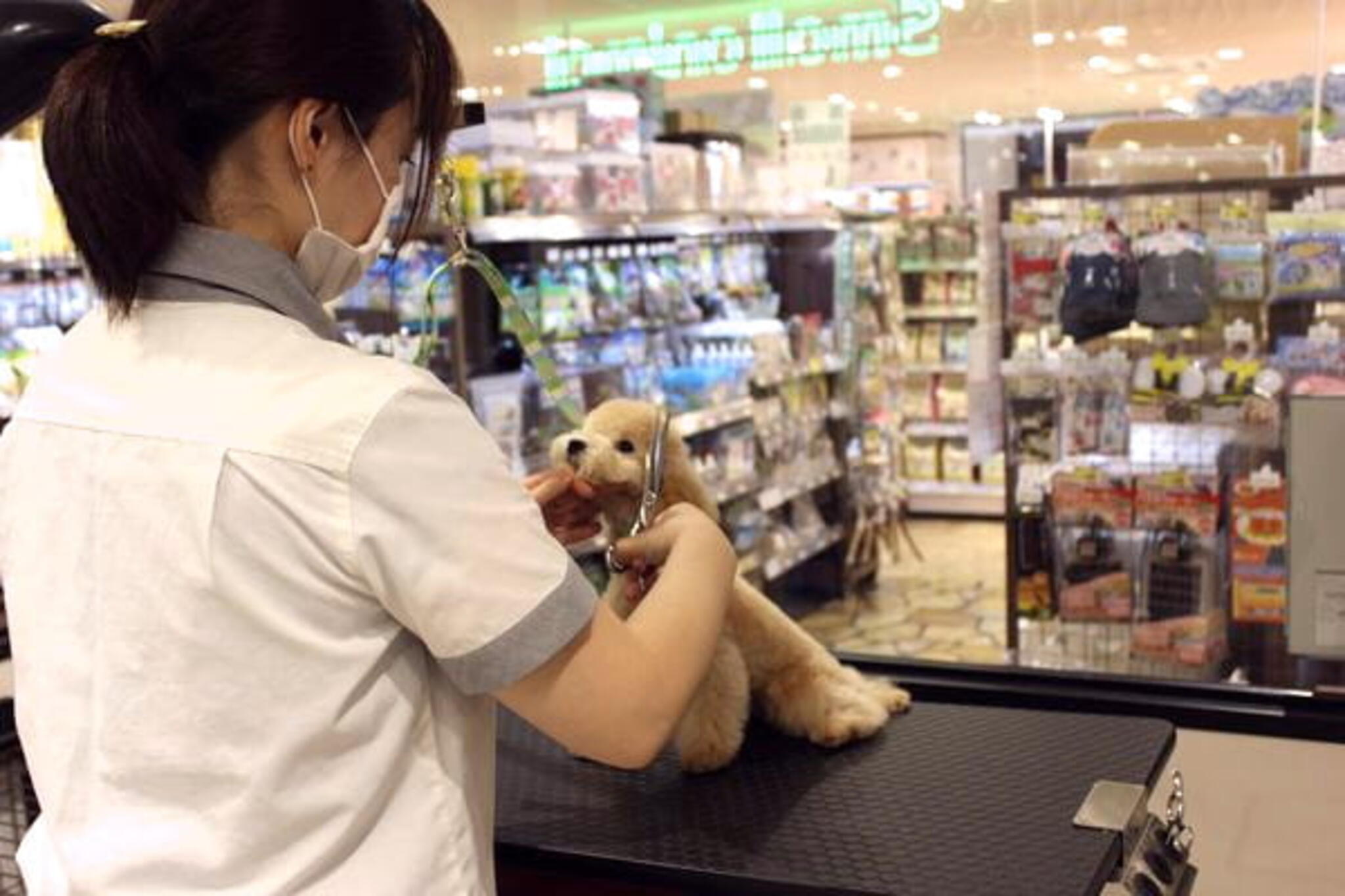 ひご ペット コレクション 淀川