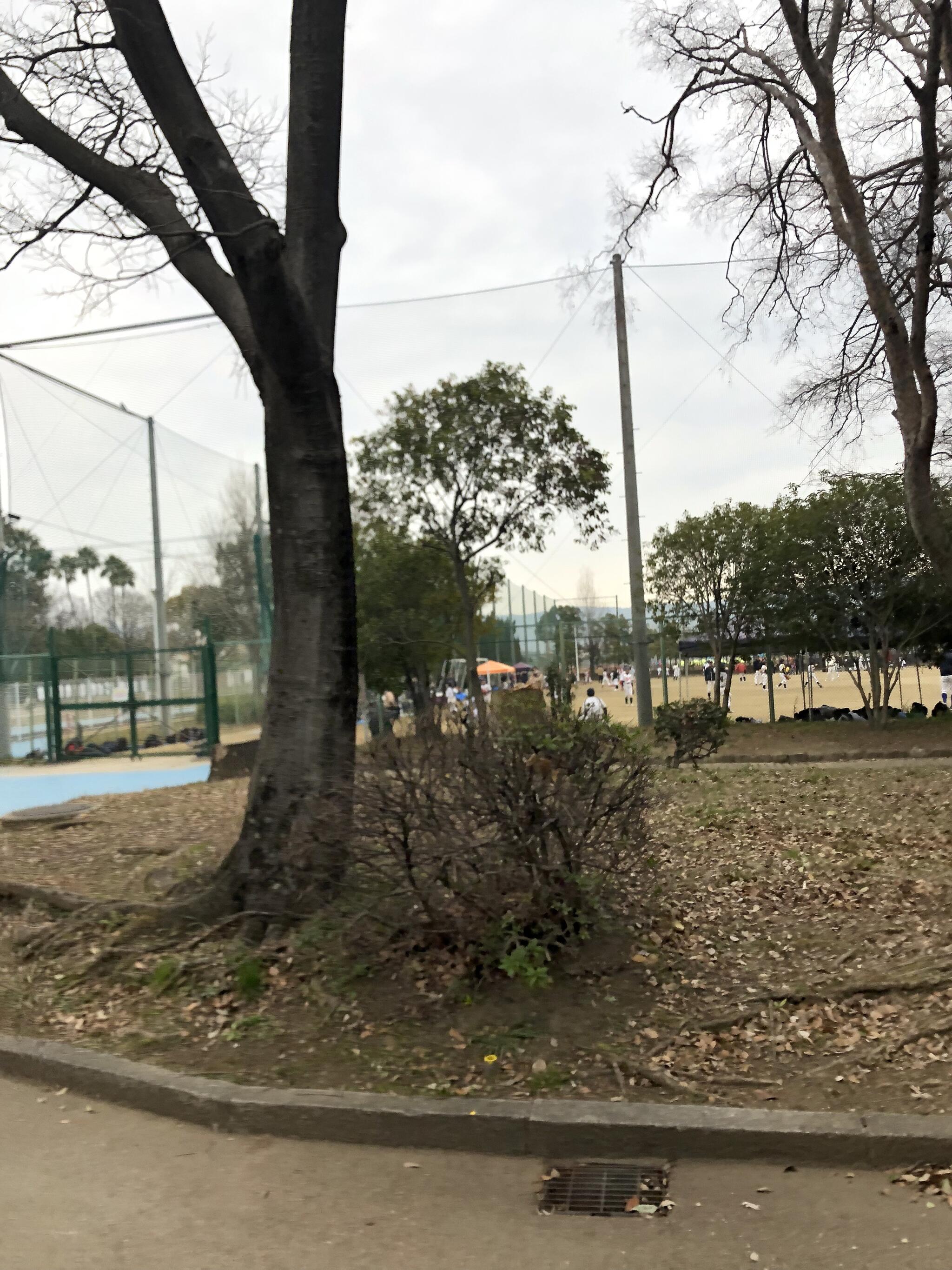 久宝寺緑地軟式野球場の代表写真9