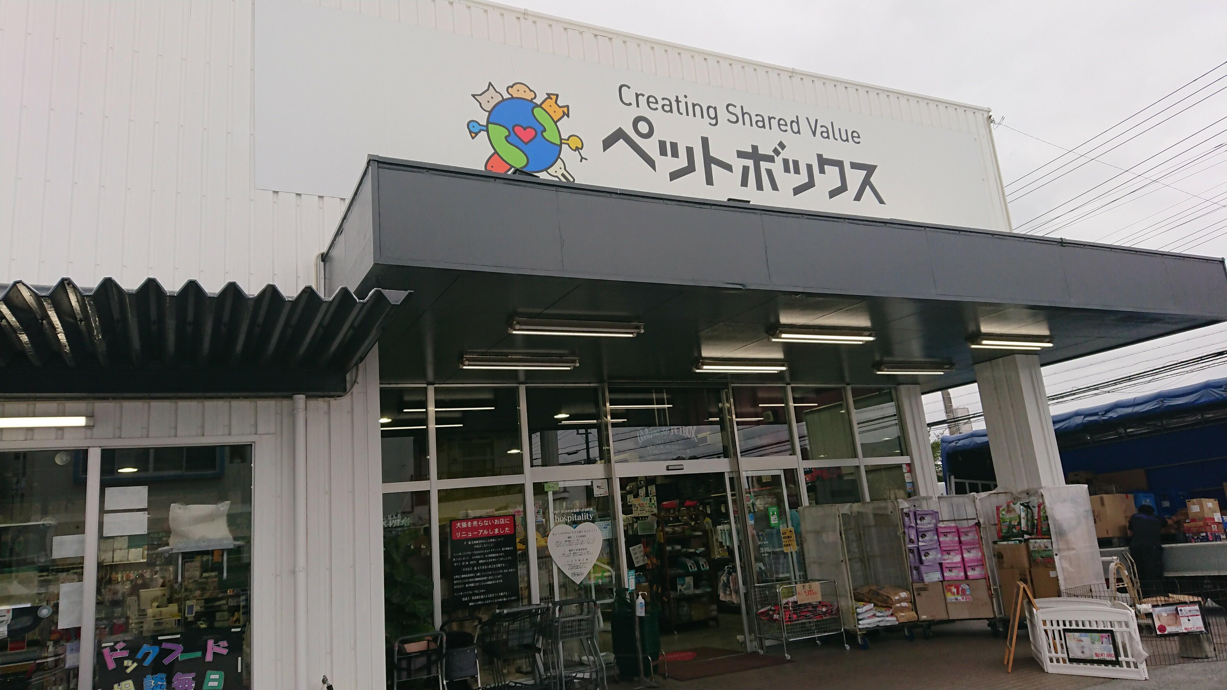 ペット ボックス 北谷 店 pet box 沖縄 安い 県