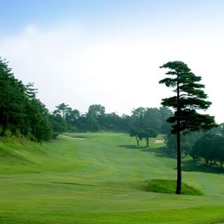 松山国際ゴルフ倶楽部の写真11
