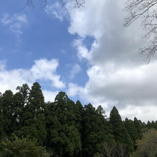 昭和の森の写真26