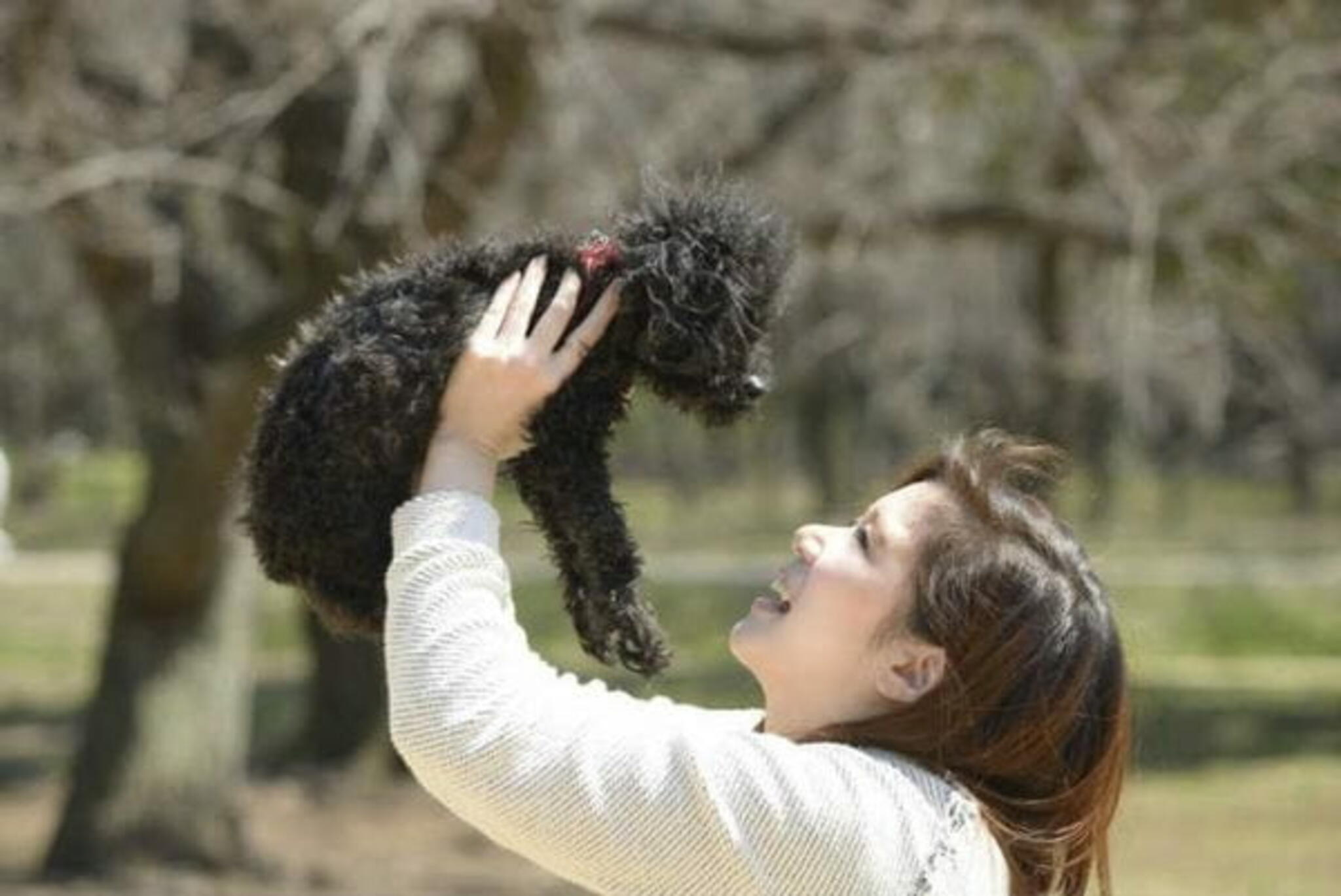 ペットショップ犬の家&猫の里 エアポートウォーク店の代表写真3