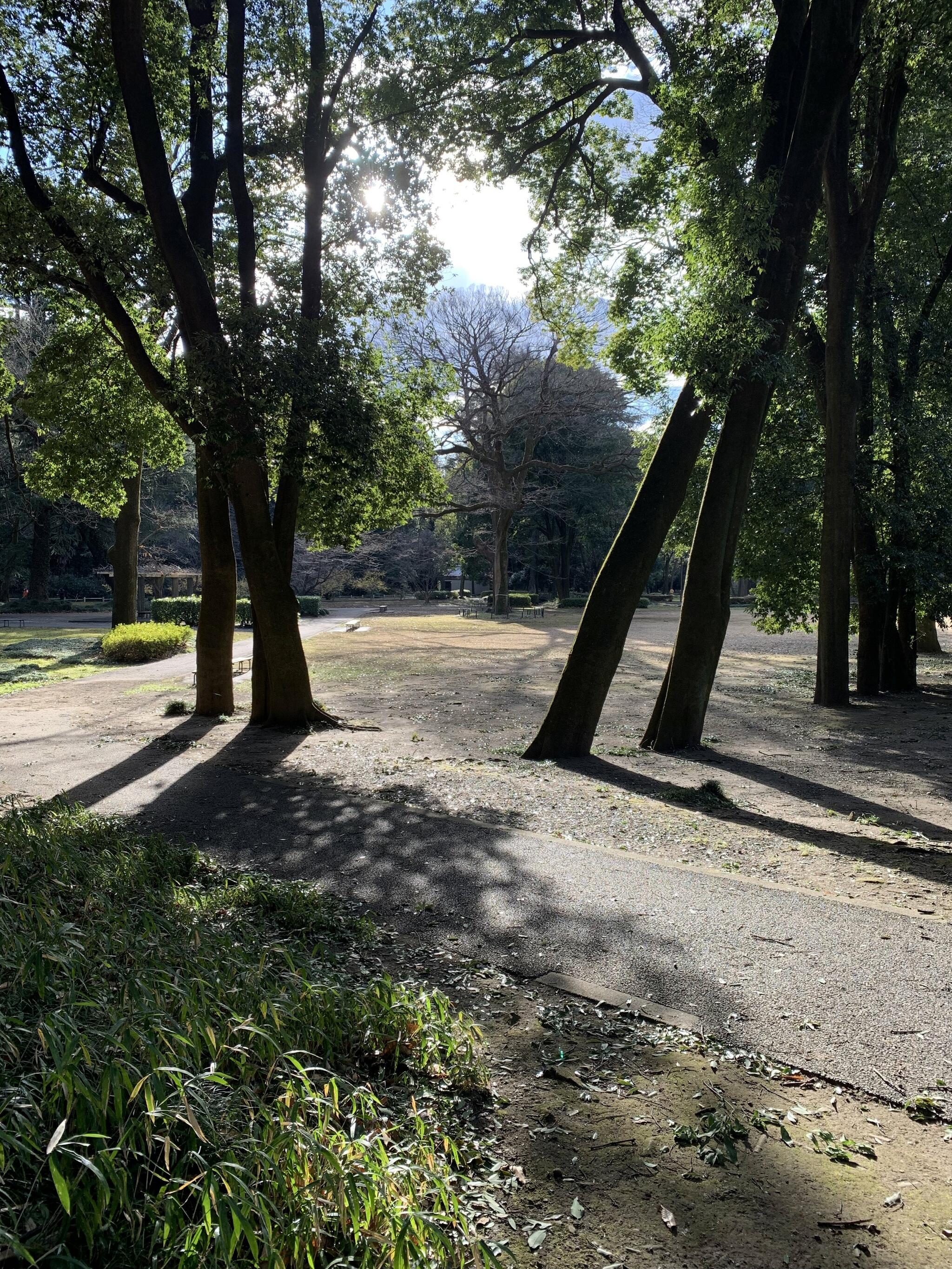 群馬県立公園アイ・ディー・エー群馬の森の代表写真4