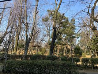 けやき公園のクチコミ写真1