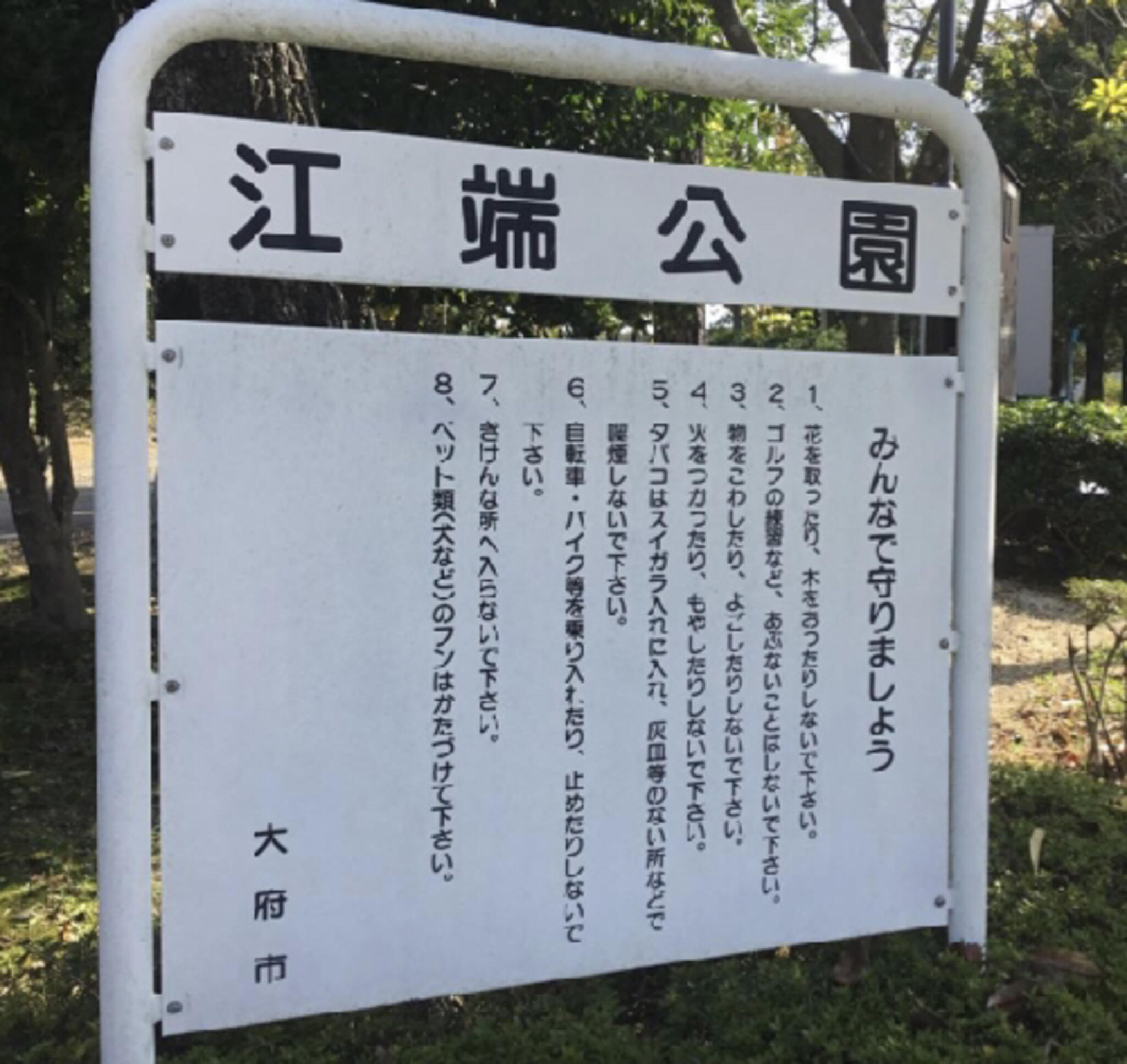 江端公園の代表写真9