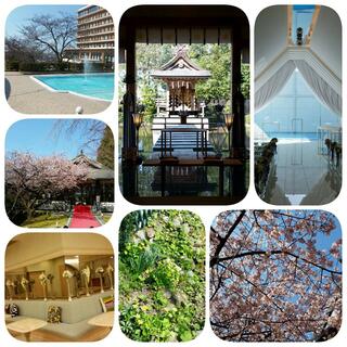 金沢国際ホテルの写真10
