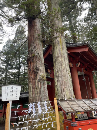 二荒山神社のクチコミ写真1