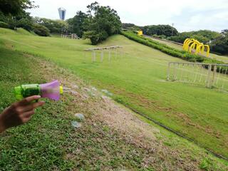 三崎公園のクチコミ写真1