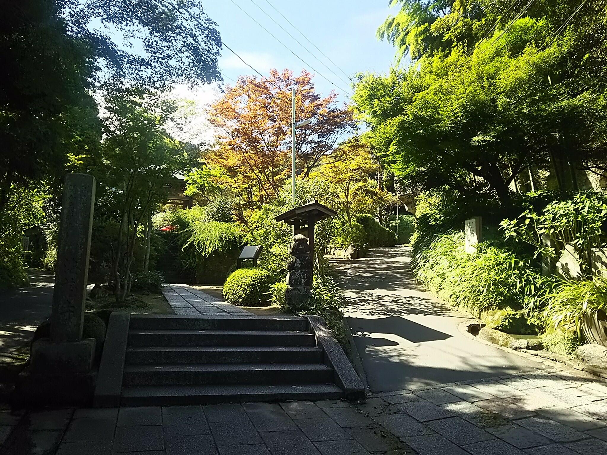 海蔵寺の代表写真2